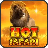 HOT SAFARI